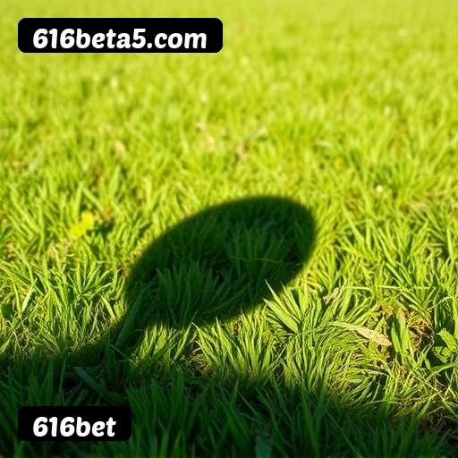 Tabela RTP verificado dos top 15 jogos mais populares 616bet - Gates of Olympus, Fortune Tiger, Aviator